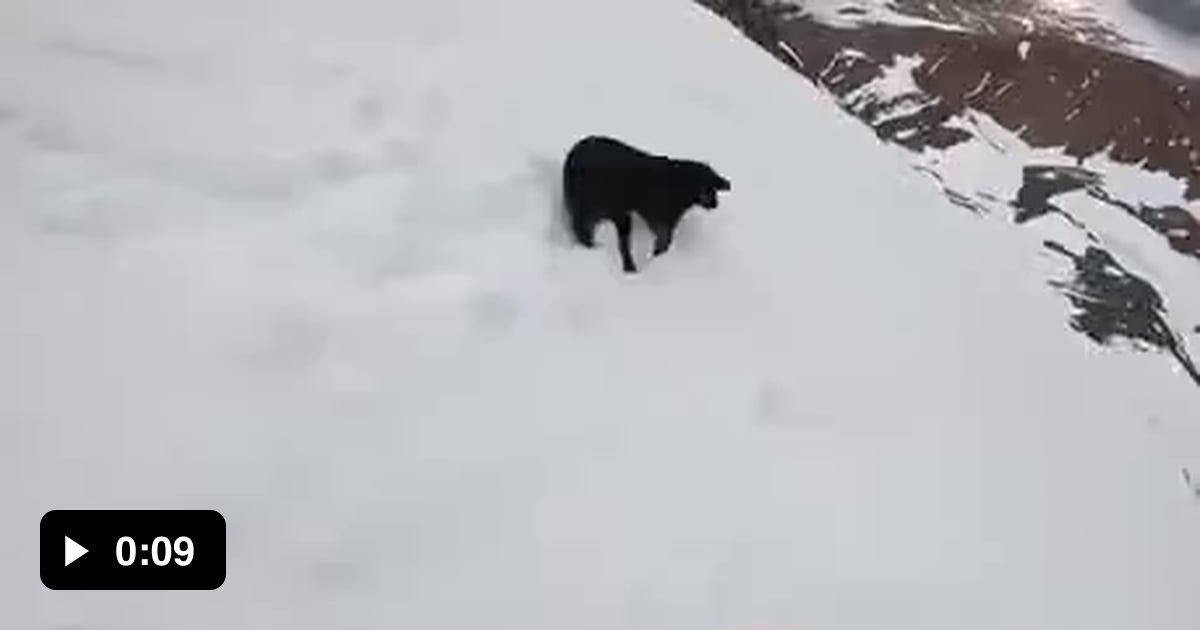 Keep Rolling Rolling Rolling 9GAG