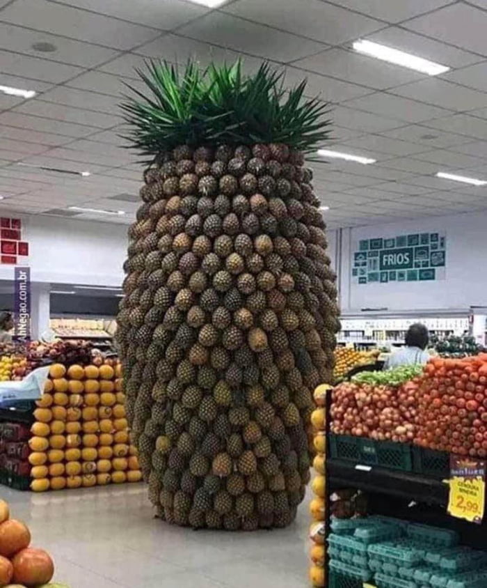 Pineapple Fusion The Large Pineapple Pineapple Of All Pineapples 9gag 