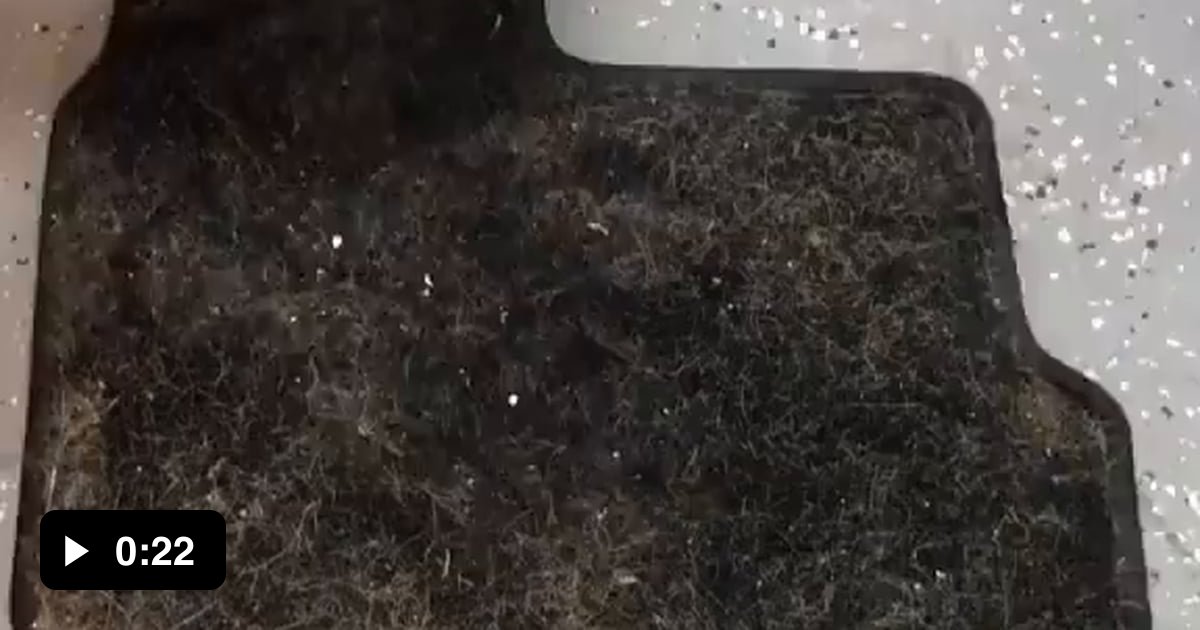 Cleaning a dirty car carpet. Oddly satisfying. 9GAG