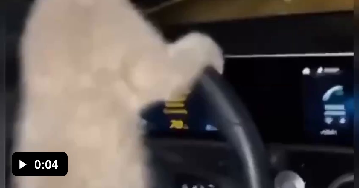 Show me the map 9gag