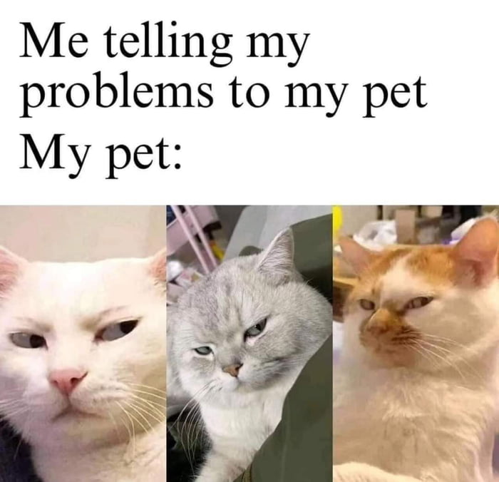 Not my problem - 9GAG