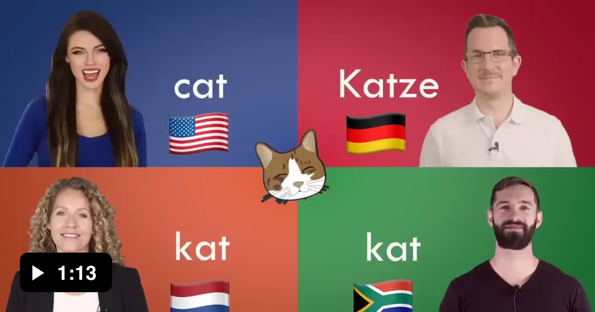 cat-name-in-all-universe-9gag