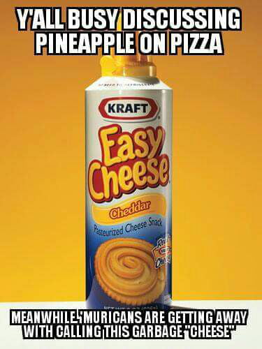 Seriously, that's barely a dairy product, don't call that sh*t "cheese" -  9GAG