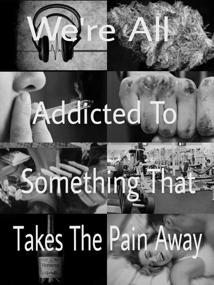 Everyone Is Addicted To Something 9gag