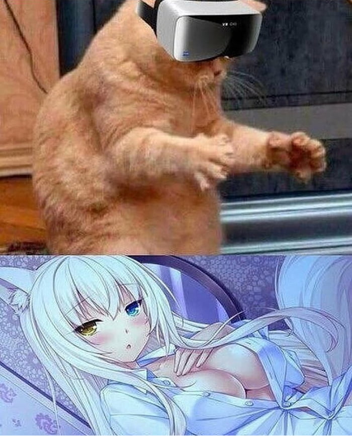 Cats and VR - Anime & Manga.