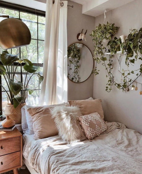 Well Lit Bedroom Plants 9gag