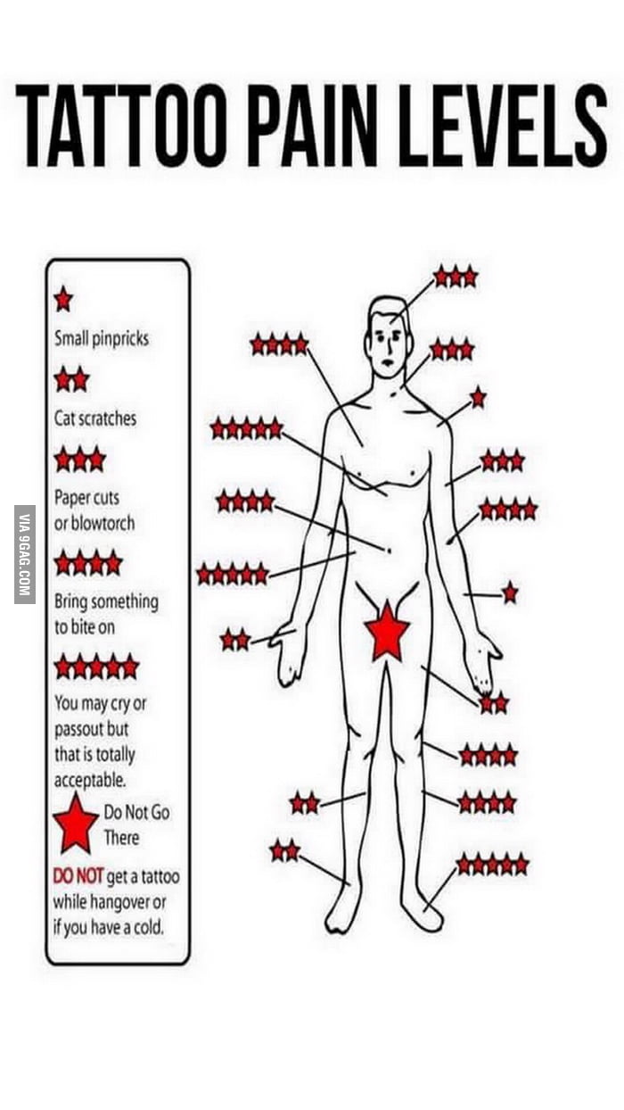 How Bad Is Tattoo Pain Body Areas Ranked  LoveToKnow Health  Wellness
