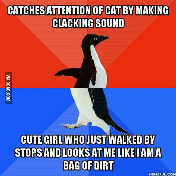 Doesn't matter had attention from dat cat - 9GAG