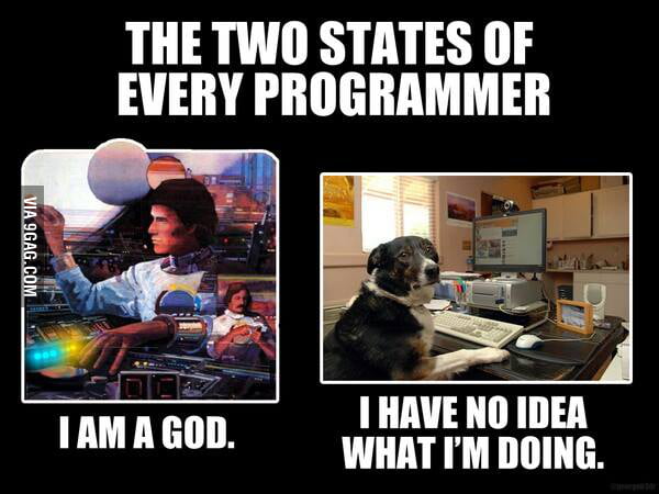 The two states of every programmer. - 9GAG