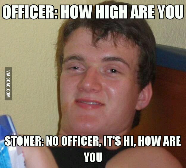 Police officer stops a stoner in the street... - 9GAG