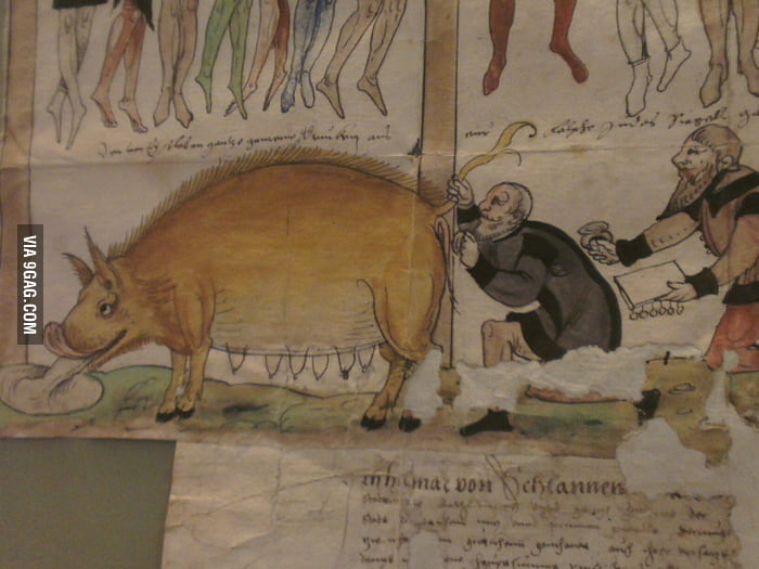 Spotted This In A Medieval Torture Museum In Germany Wtf 9gag