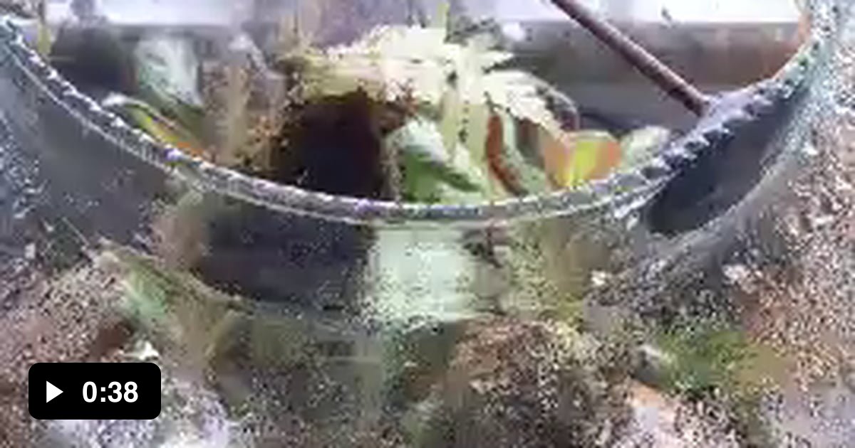 Update on a old terrarium, smells like a rainy forest. 9GAG