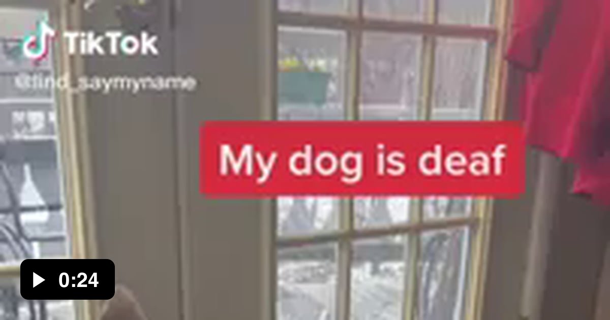 Deaf dog trying to bark 9GAG