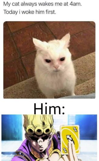 Sad Cat 9gag