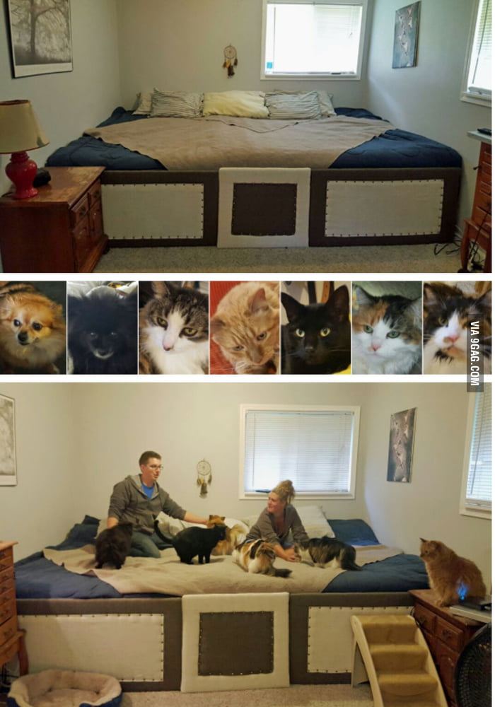 He has 5 cats