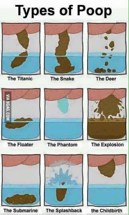 Different Types Of Poop Meme