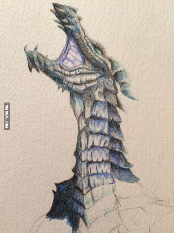 Started A Sketch Of A Skyrim Dragon What Do You Guys Think 9gag