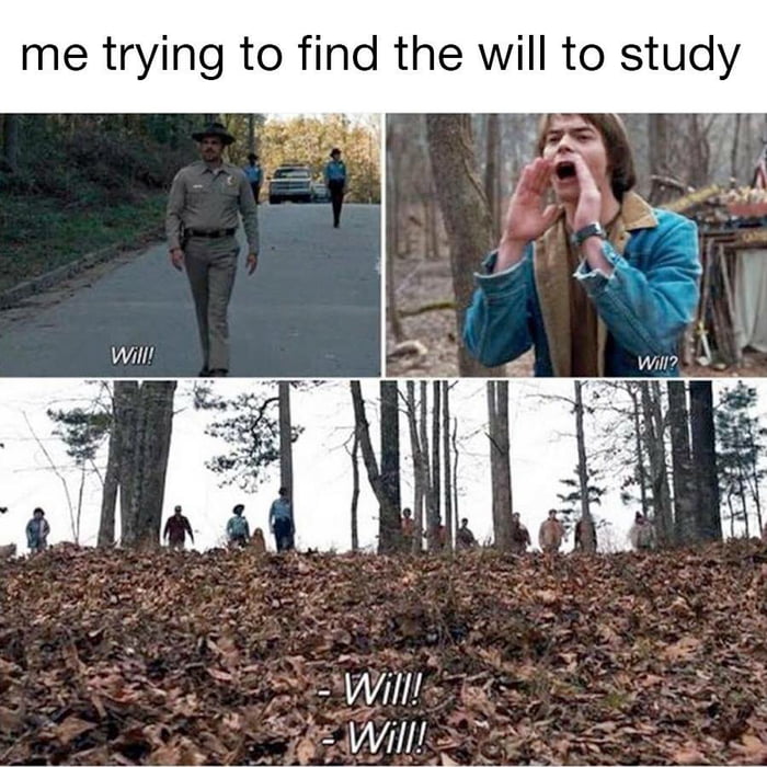 Stranger things happen when you try to look for the will - 9GAG