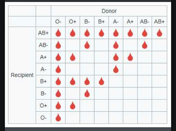 Blood Donor Recipient Chart