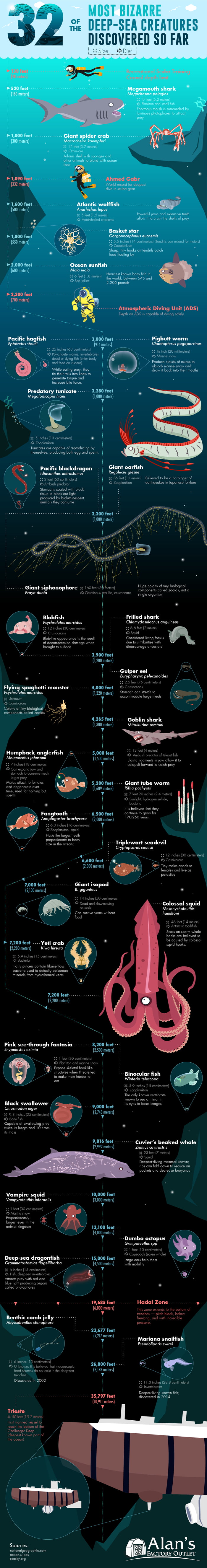32 of the most bizarre deep-sea creatures discovered so far - 9GAG