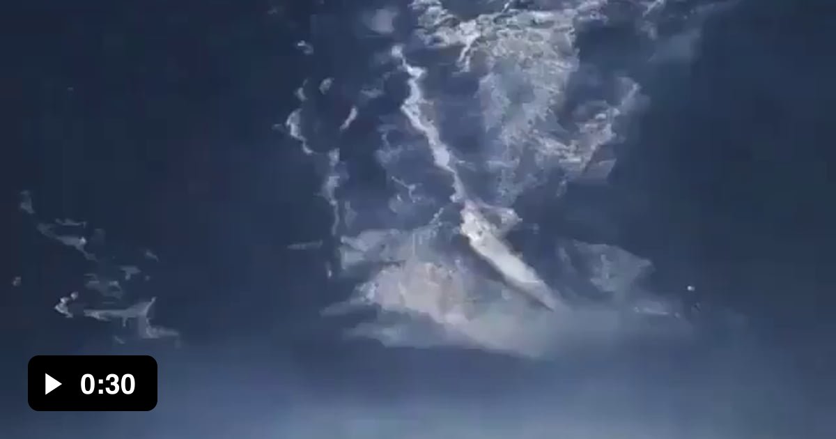 Biggest surfed and recorded wave ever by a brazilian dude - 9GAG