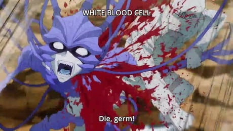Educational Anime 9gag