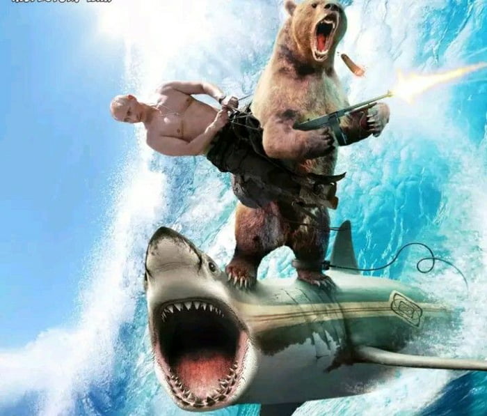 Image result for putin riding a bear riding a shark