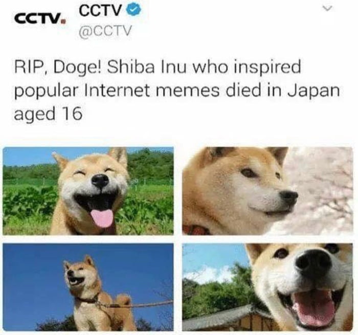 Rip Doge 9gag
