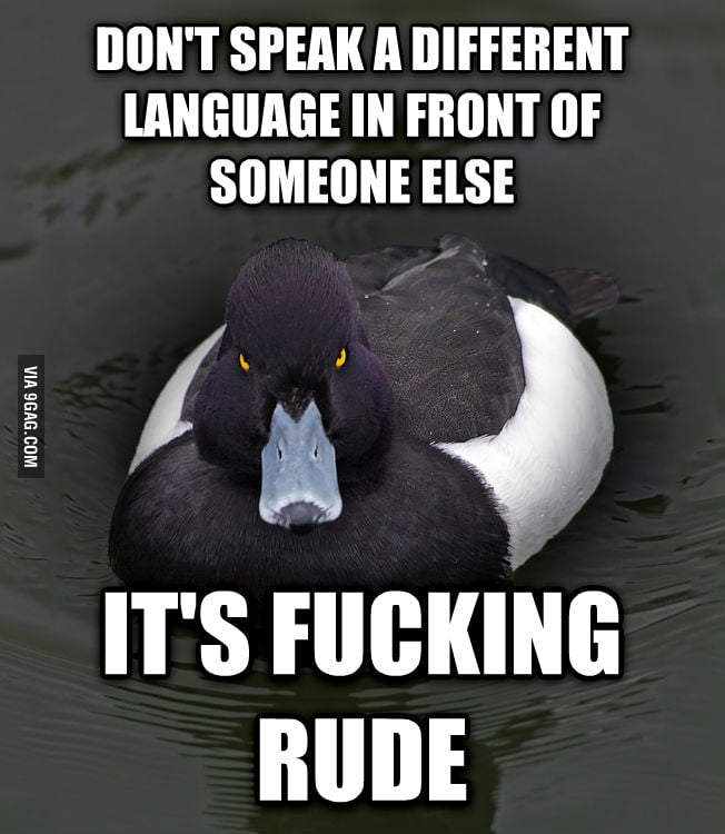 When my immigrant friends start laughing at inside jokes - 9GAG