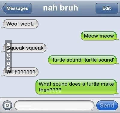 What does the turtle say?! - 9GAG