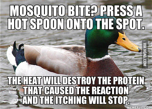 actual-advice-mallard-stop-scratching-your-mosquito-bites-9gag