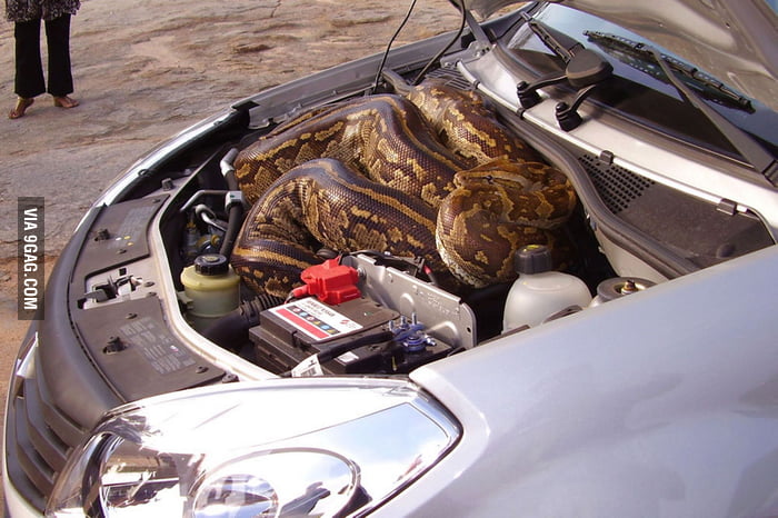 Python under the hood - 9GAG