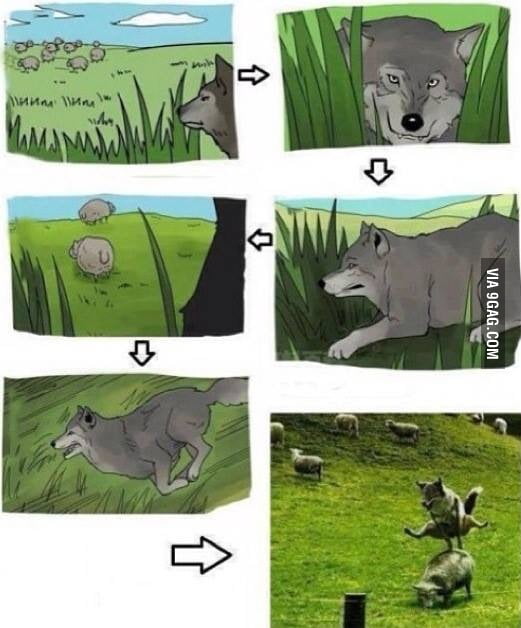Vicious wolf - 9GAG