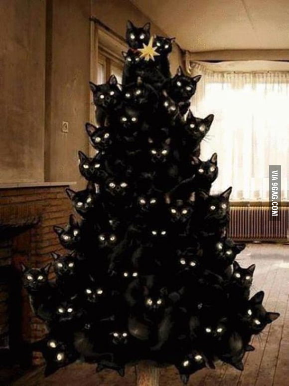 Catmas tree.