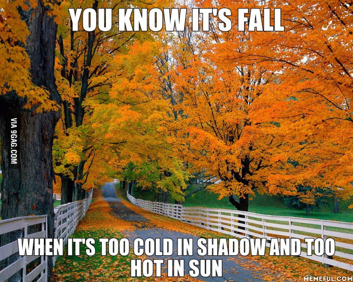 Fall is coming 9GAG