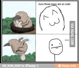 Cute eggs - 9GAG