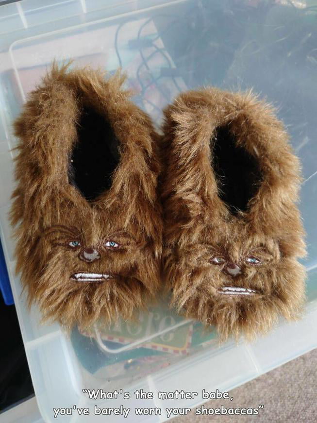 Shoebacca 9GAG