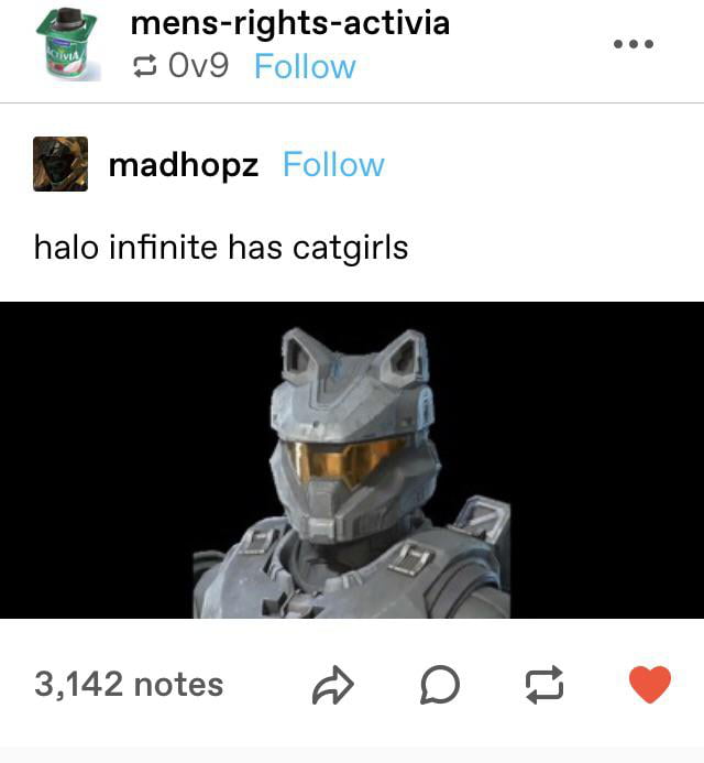 Halo infinite has catgirls - 9GAG