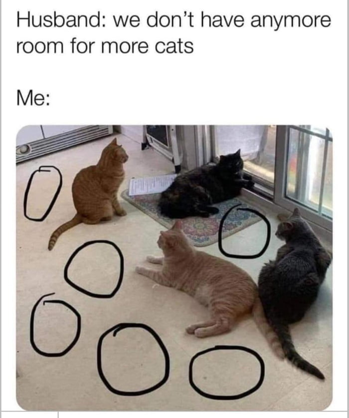 No more room for cats!! .... 😻 - 9GAG