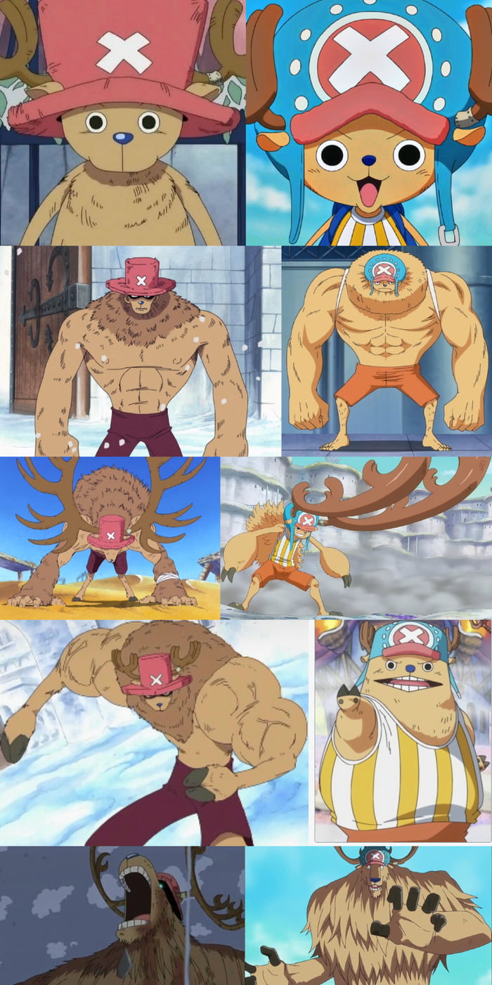 One Piece Confessions — Out of all of Chopper's Post-timeskip