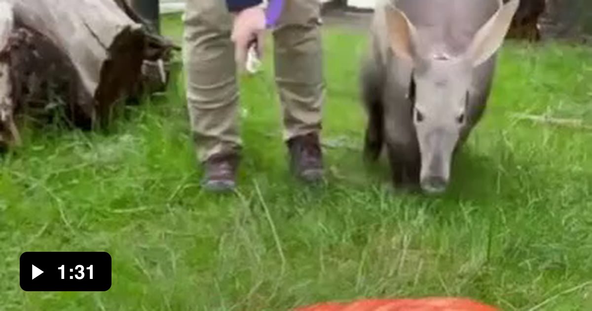 Do you smell it? That smell. A kind of smelly smell. The smelly smell