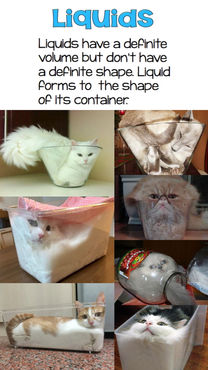 Liquid Cats 9GAG