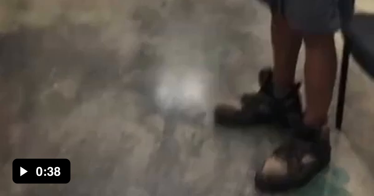 Homeless man reunited with his lost dog - 9GAG