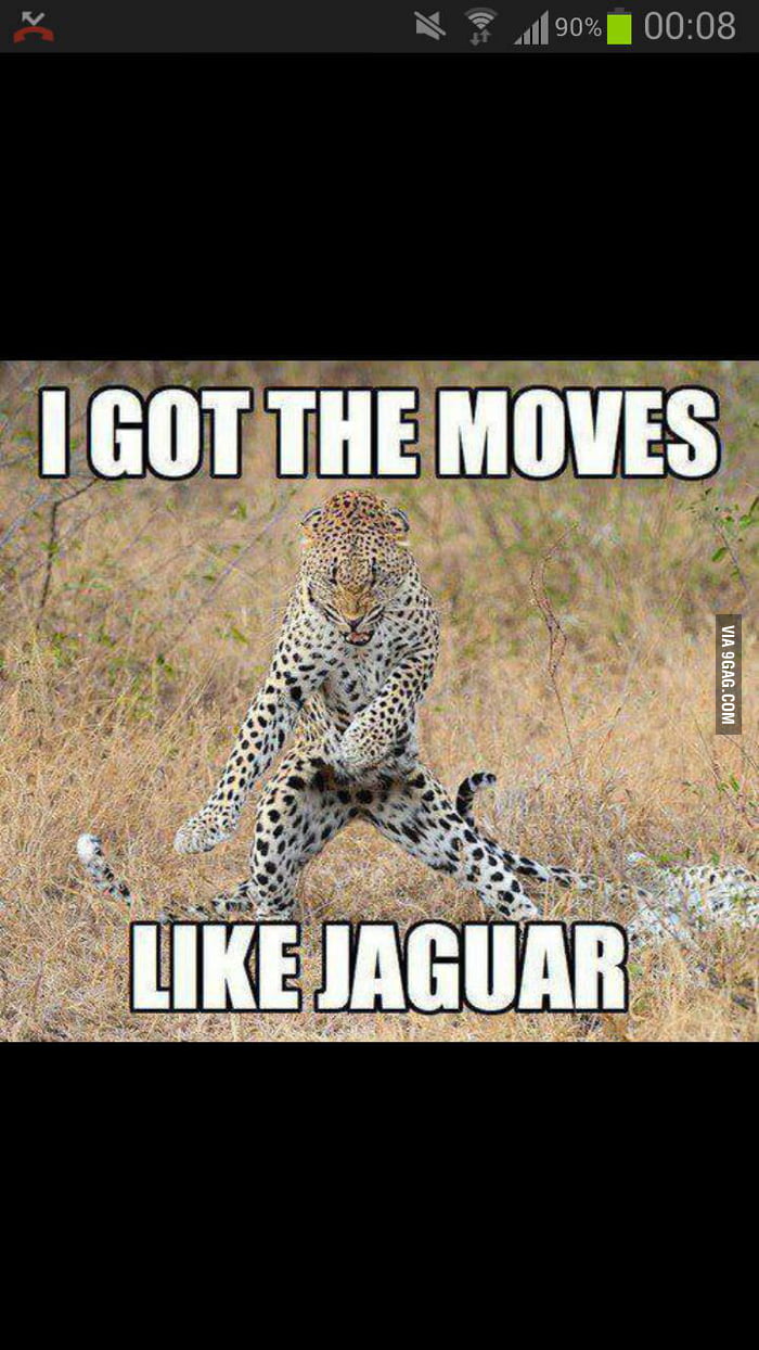 MOVES LIKE JAGUAR - 9GAG