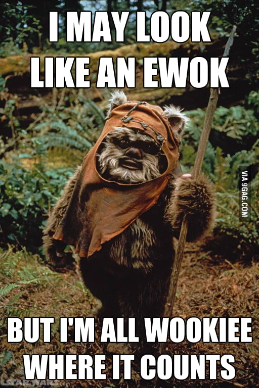 I may look like an ewok 9GAG