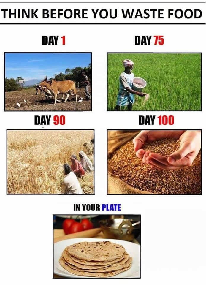 We can throw away food in a minute but it takes months to grow what we