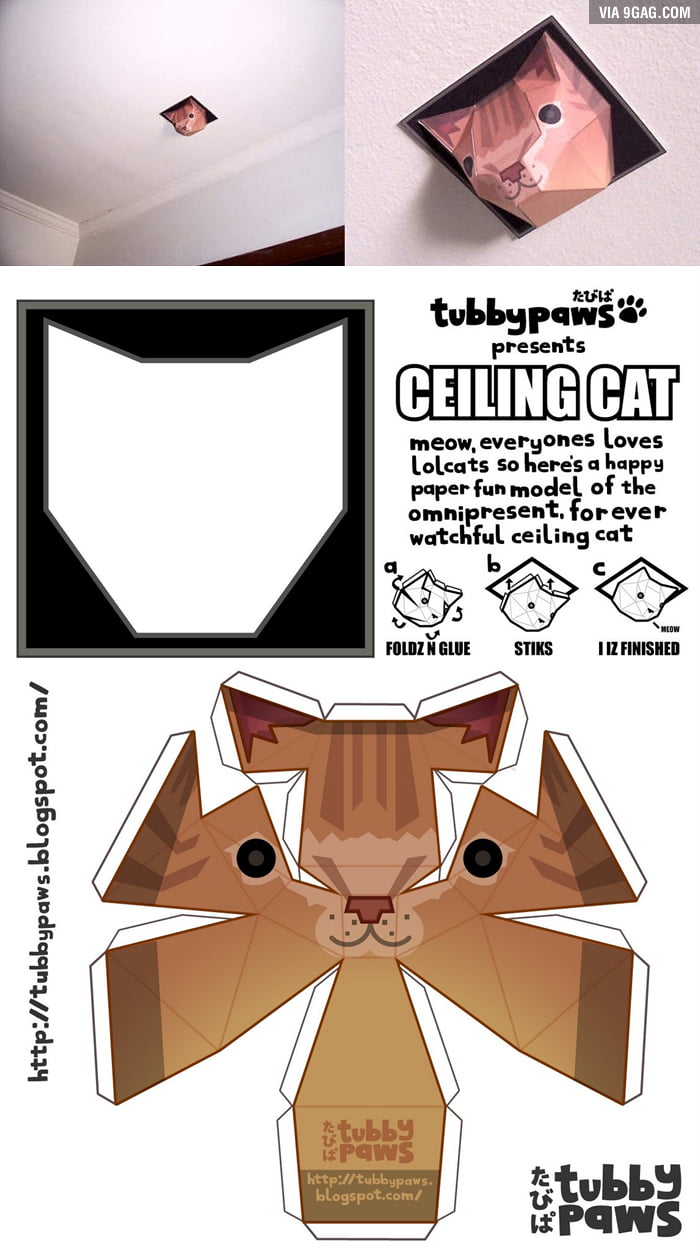 cat toys that hang from the ceiling