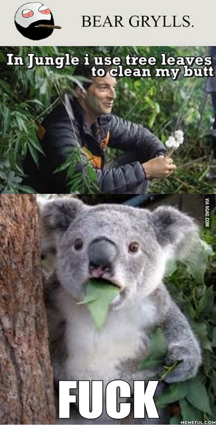 In the jungle - 9GAG