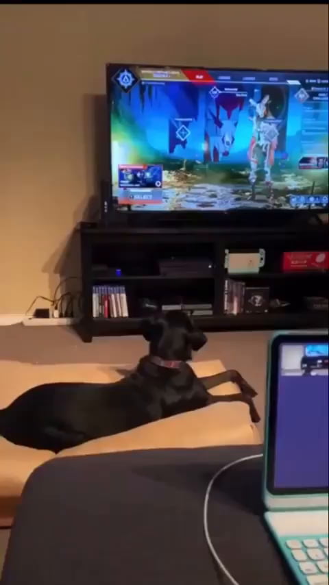 Watch out!