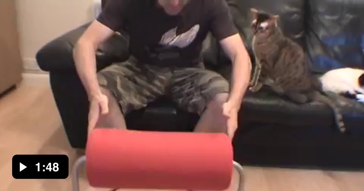 He seems to like it.